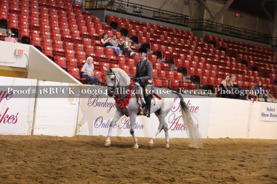 Proof 18BUCK_06364