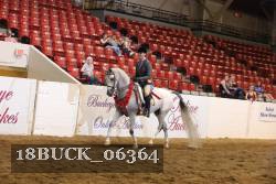 18BUCK_06364 proof