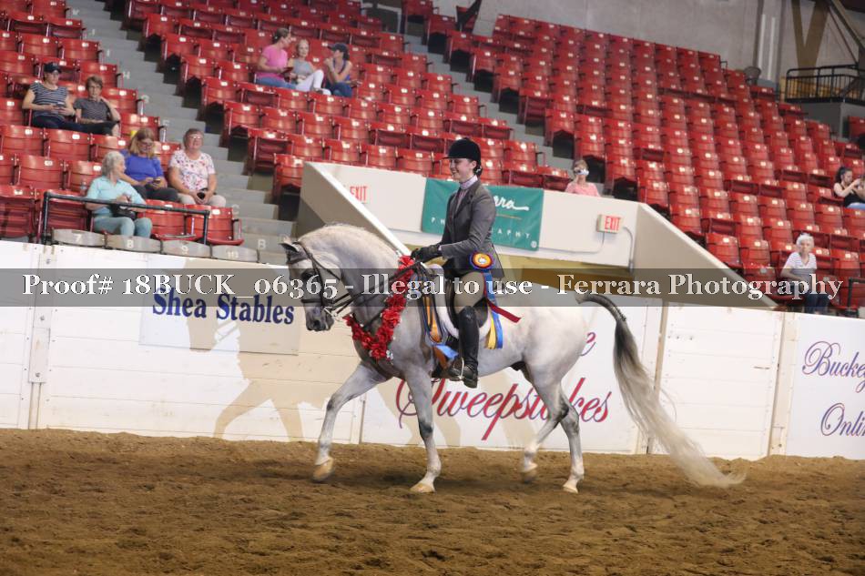 Proof 18BUCK_06365