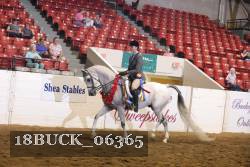 18BUCK_06365 proof