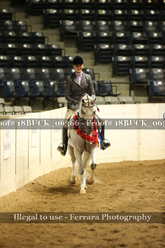 Proof 18BUCK_06366