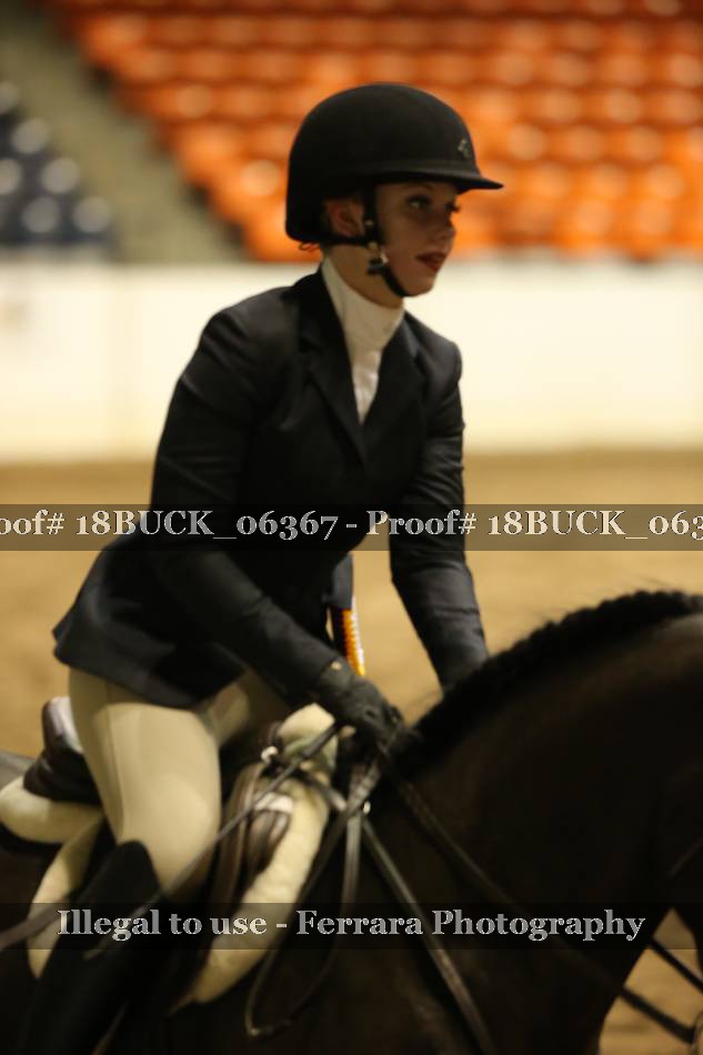 Proof 18BUCK_06367