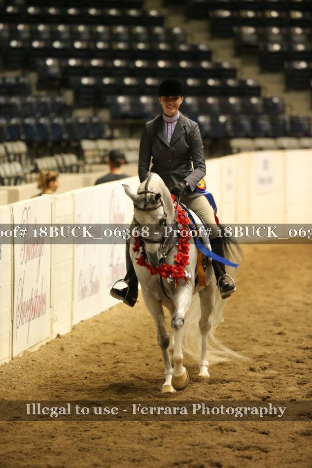 Proof 18BUCK_06368