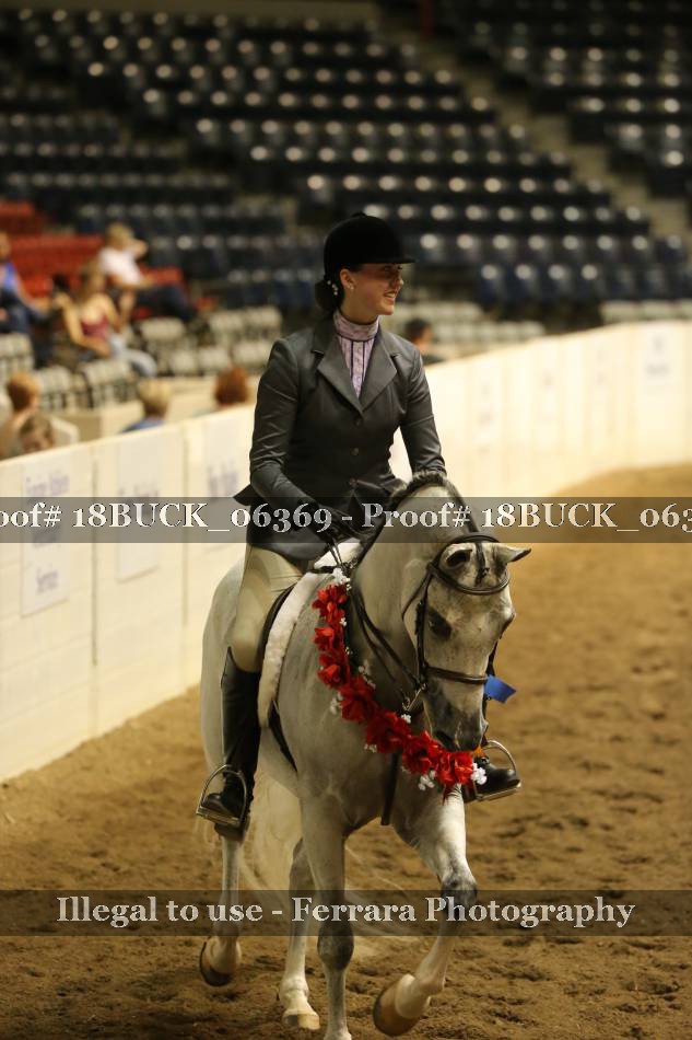 Proof 18BUCK_06369