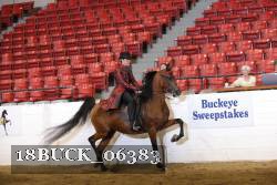 18BUCK_06383 proof