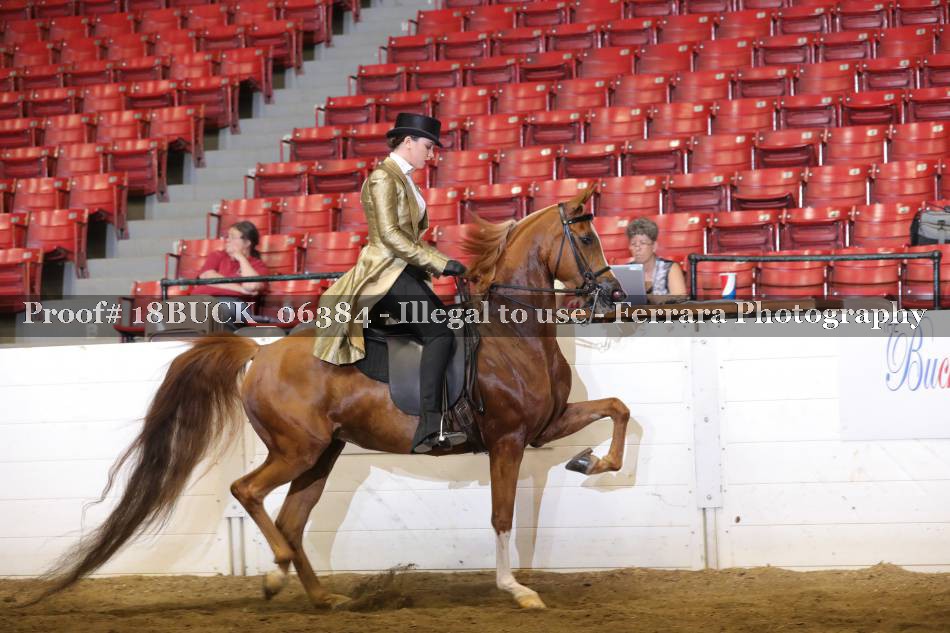 Proof 18BUCK_06384