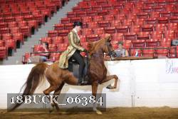 18BUCK_06384 proof