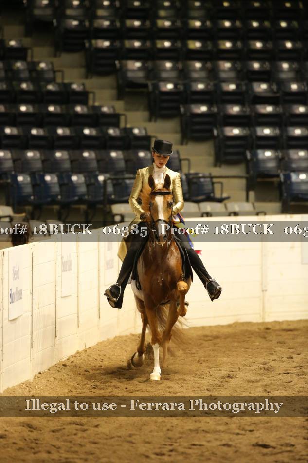 Proof 18BUCK_06385