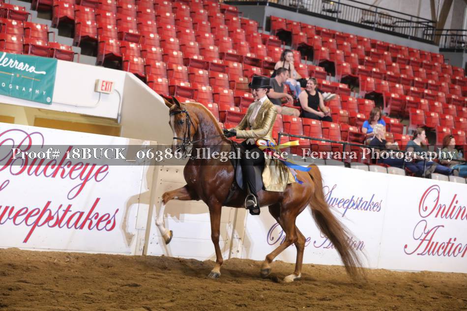 Proof 18BUCK_06386