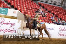 18BUCK_06386 proof