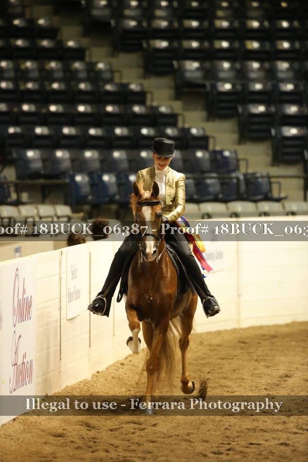 Proof 18BUCK_06387