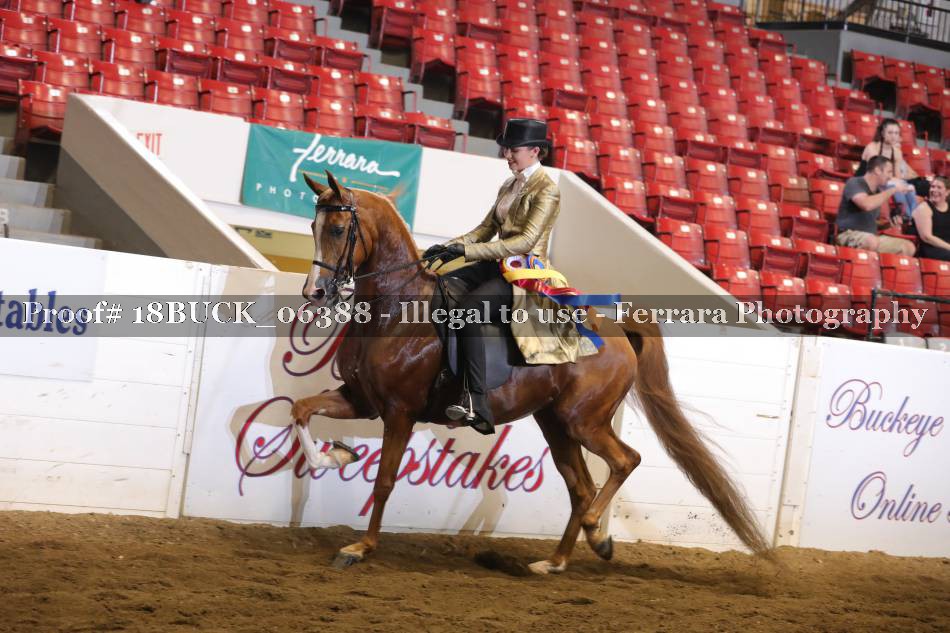 Proof 18BUCK_06388