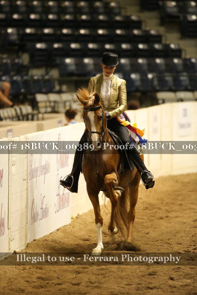 Proof 18BUCK_06389