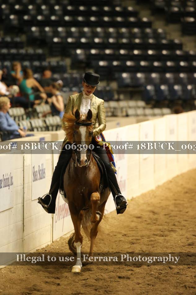 Proof 18BUCK_06390