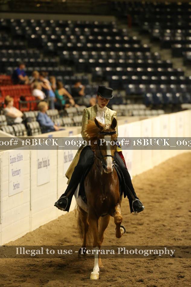 Proof 18BUCK_06391