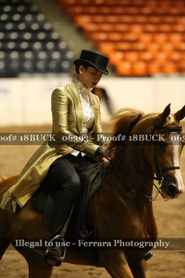 Proof 18BUCK_06393