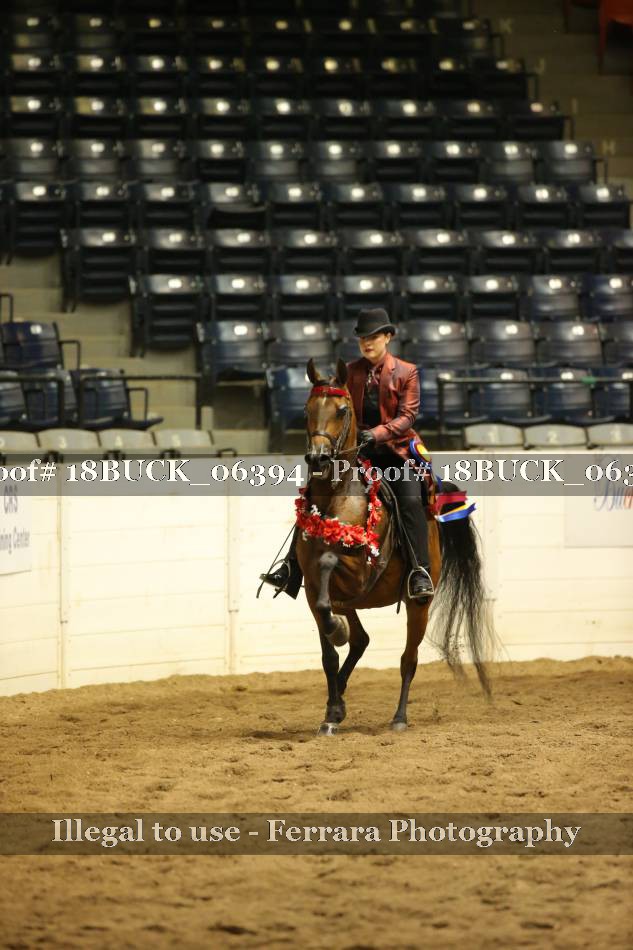 Proof 18BUCK_06394