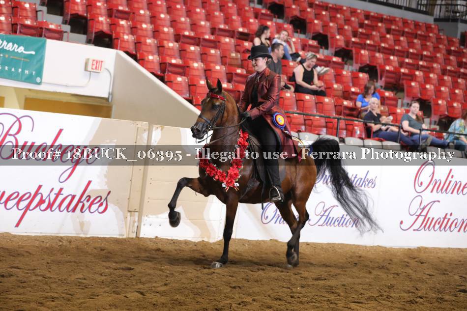 Proof 18BUCK_06395