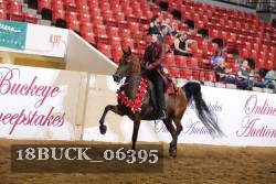 18BUCK_06395 proof