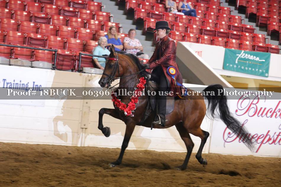 Proof 18BUCK_06396