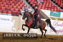 18BUCK_06396 proof
