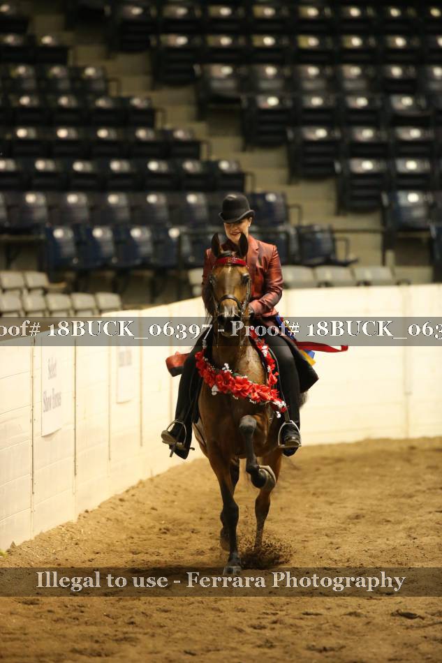 Proof 18BUCK_06397
