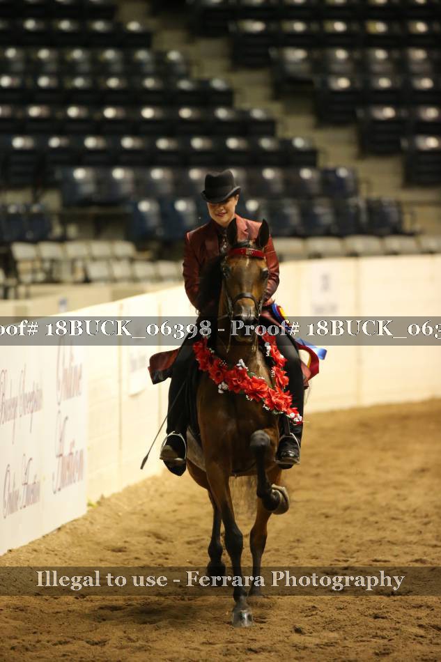 Proof 18BUCK_06398