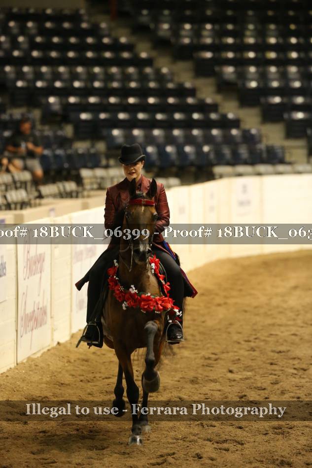 Proof 18BUCK_06399