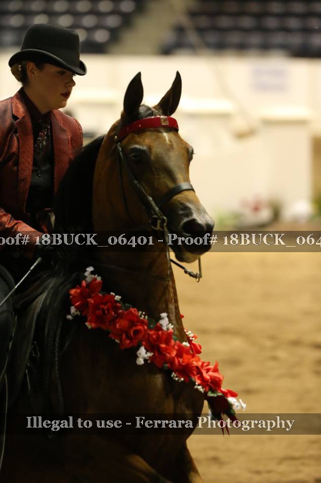 Proof 18BUCK_06401