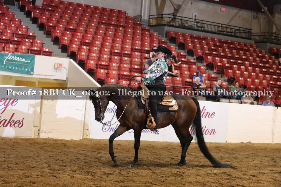 Proof 18BUCK_06402