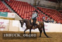 18BUCK_06402 proof