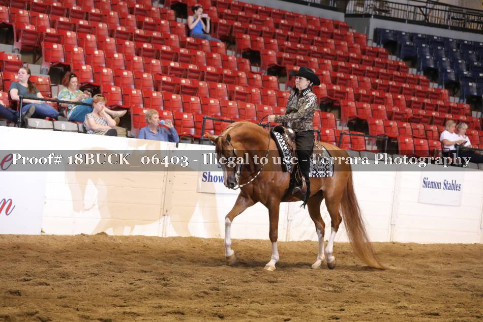 Proof 18BUCK_06403