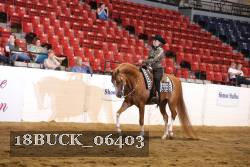 18BUCK_06403 proof