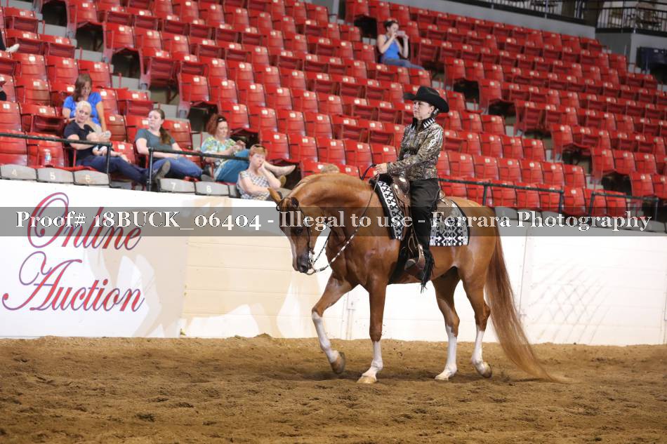 Proof 18BUCK_06404