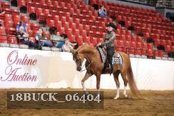 18BUCK_06404 proof