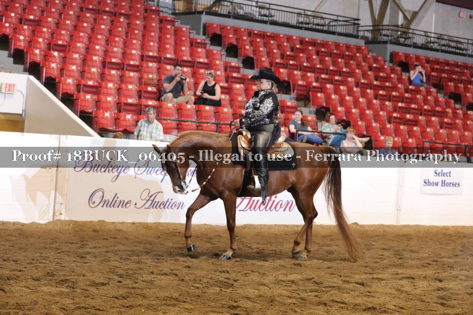 Proof 18BUCK_06405