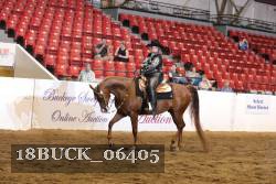 18BUCK_06405 proof