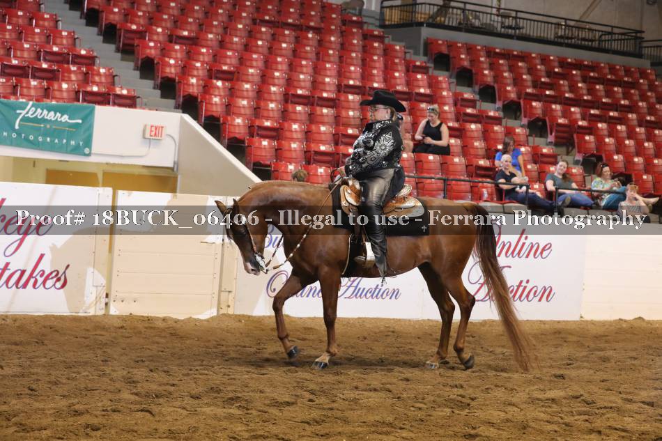 Proof 18BUCK_06406