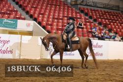 18BUCK_06406 proof