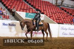 18BUCK_06408 proof