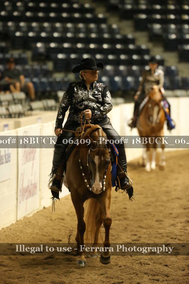 Proof 18BUCK_06409