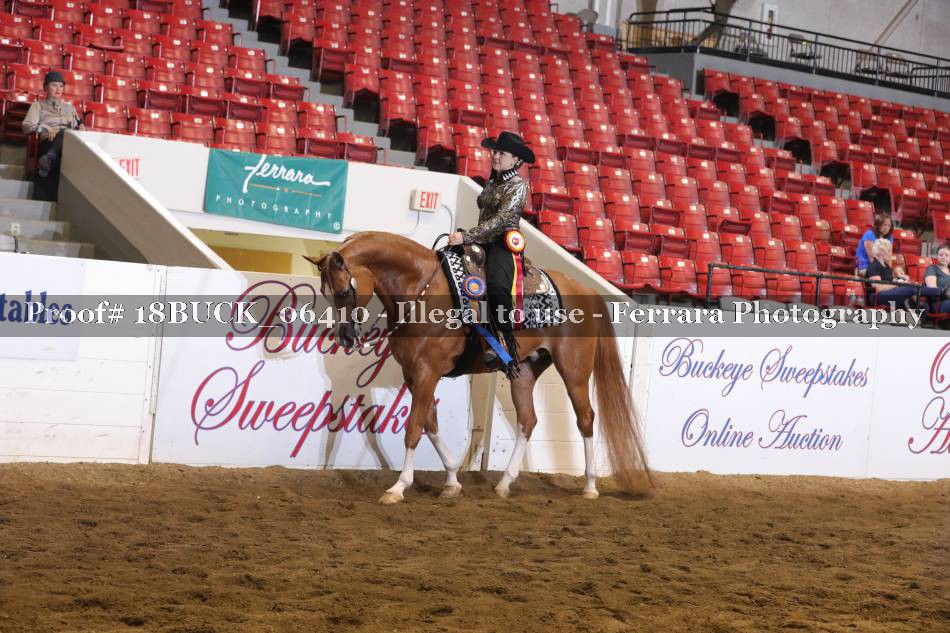 Proof 18BUCK_06410