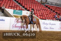 18BUCK_06410 proof