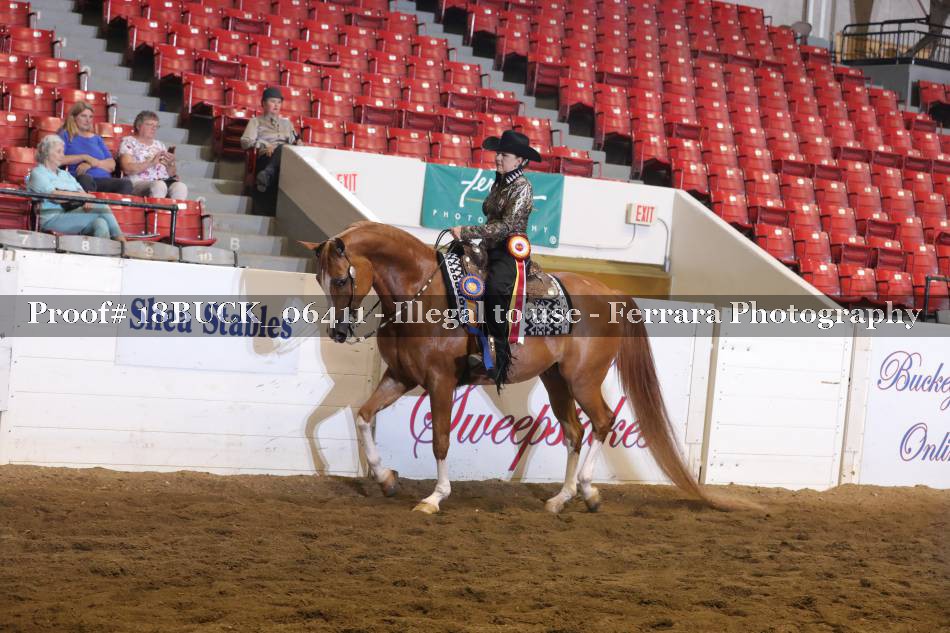 Proof 18BUCK_06411