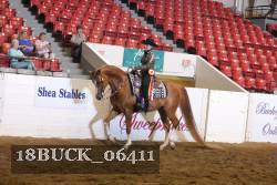 18BUCK_06411 proof