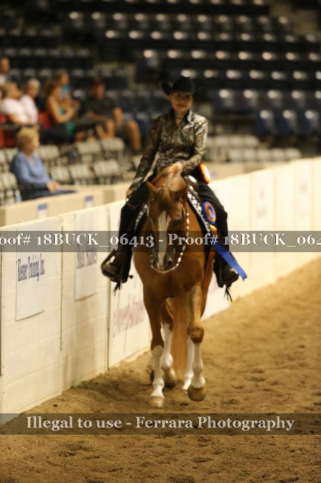 Proof 18BUCK_06413
