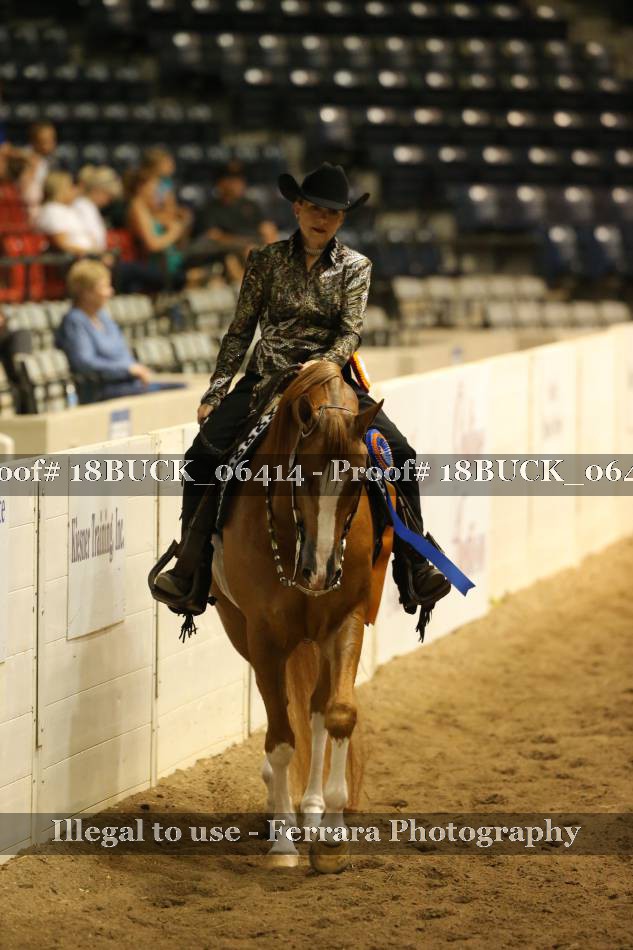 Proof 18BUCK_06414