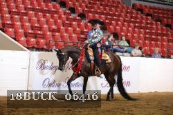 18BUCK_06416 proof