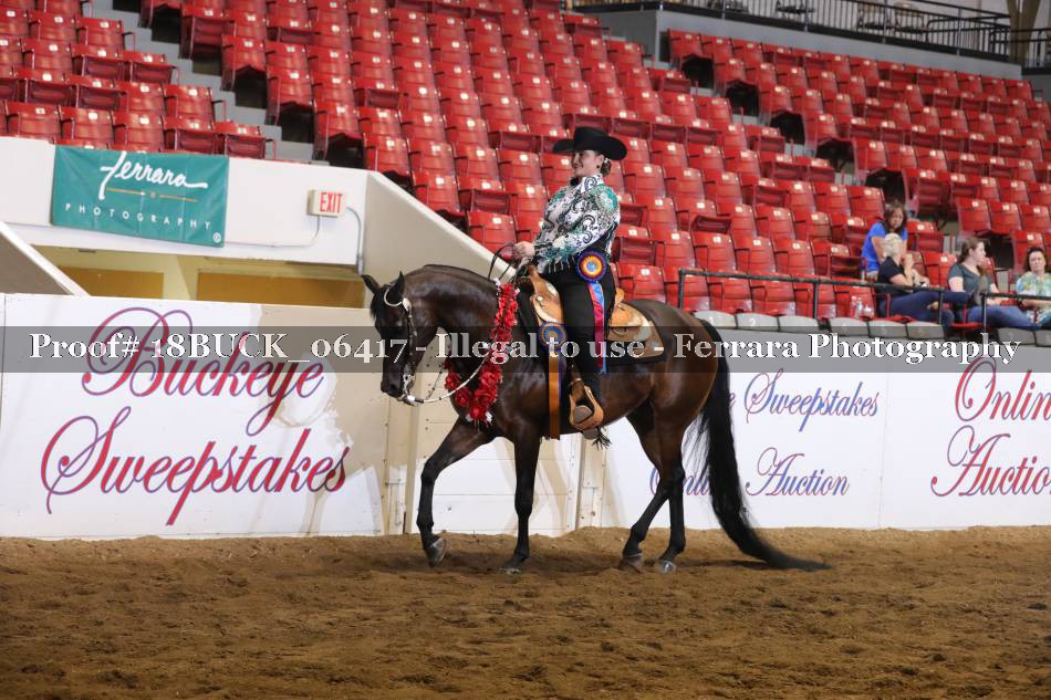 Proof 18BUCK_06417