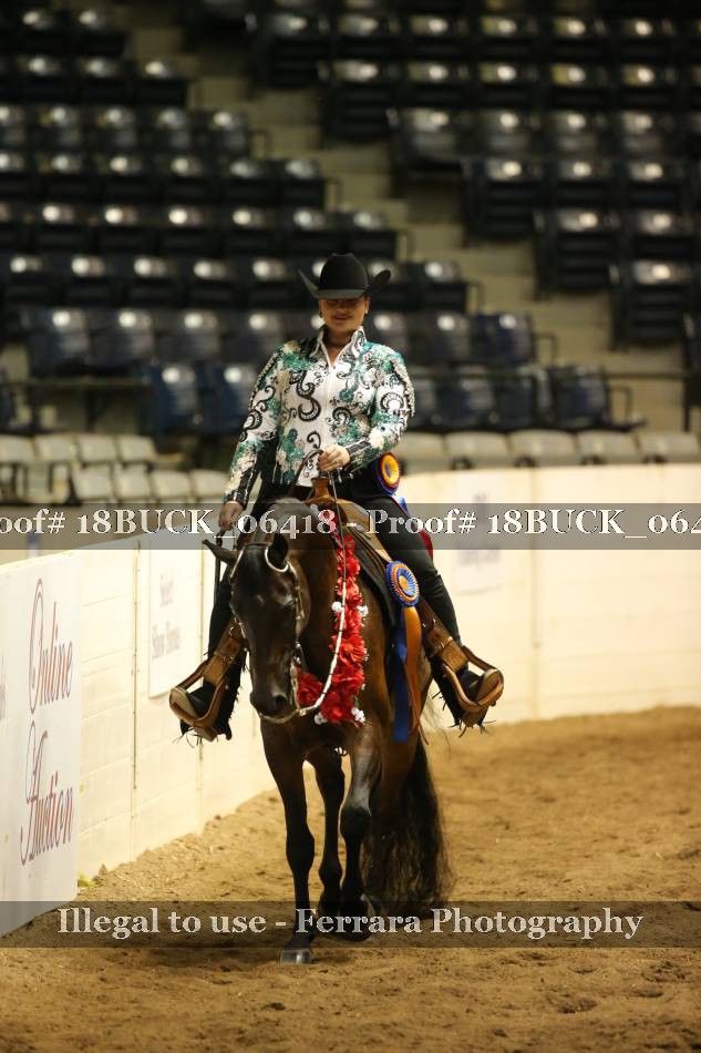 Proof 18BUCK_06418